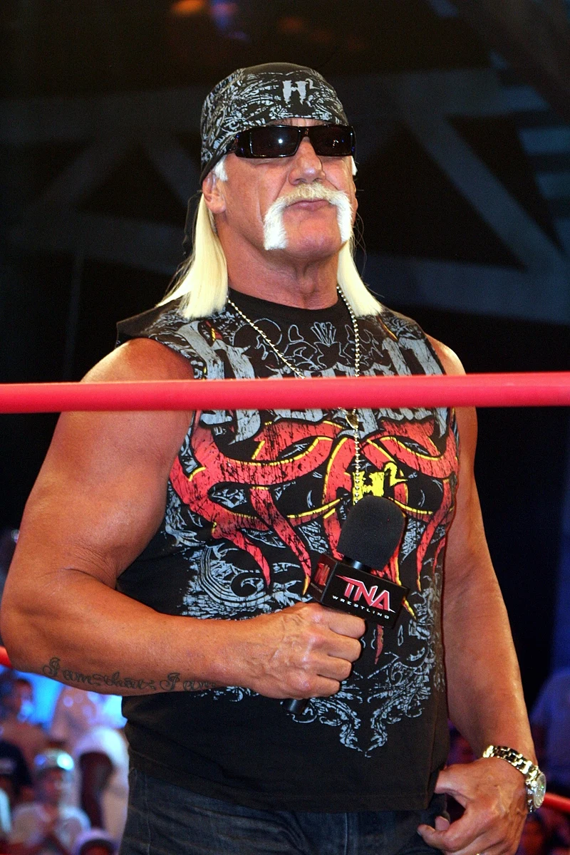 Kuo įžymus WWE legenda Hulkas Hoganas?